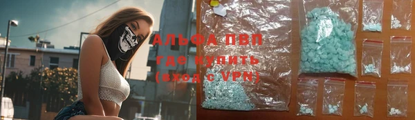 стаф Богданович