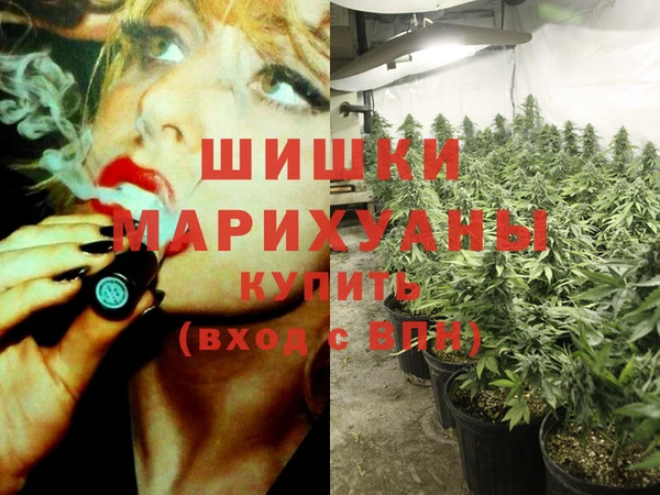 стаф Богданович