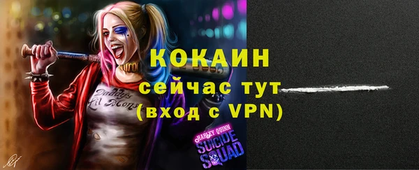 мет Няндома