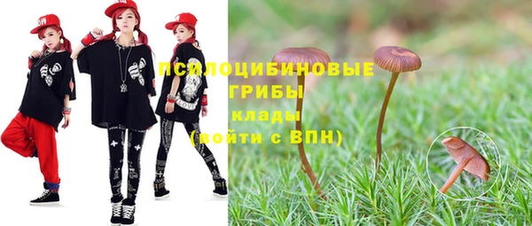 эйфоретик Белокуриха