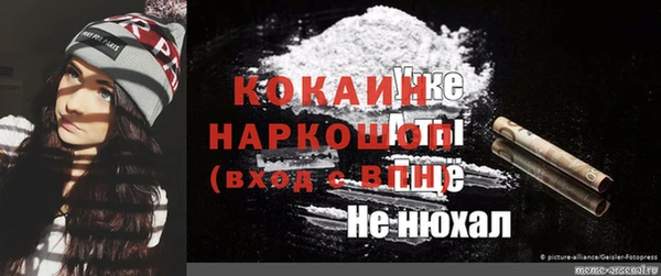 мет Няндома