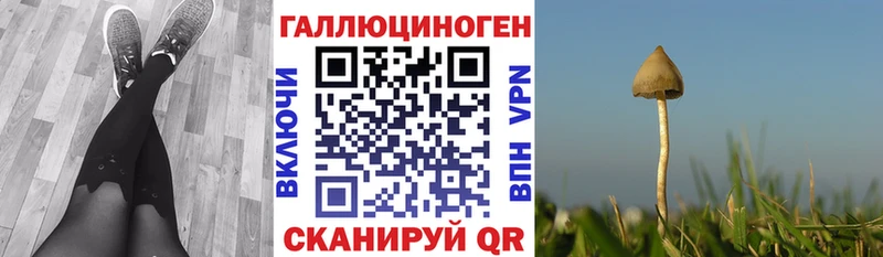 Псилоцибиновые грибы Magic Shrooms  даркнет состав  Беслан  kraken tor 