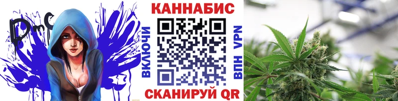 Бошки Шишки план Беслан